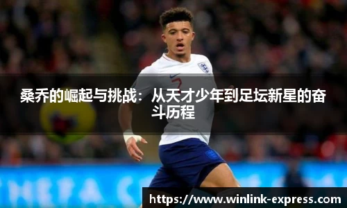 乐动LDSports官网