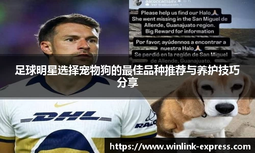 足球明星选择宠物狗的最佳品种推荐与养护技巧分享